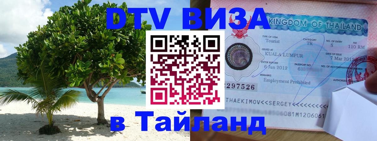Сколько стоит DTV виза — актуальные цены, оформление даже без документов - Домодедово 